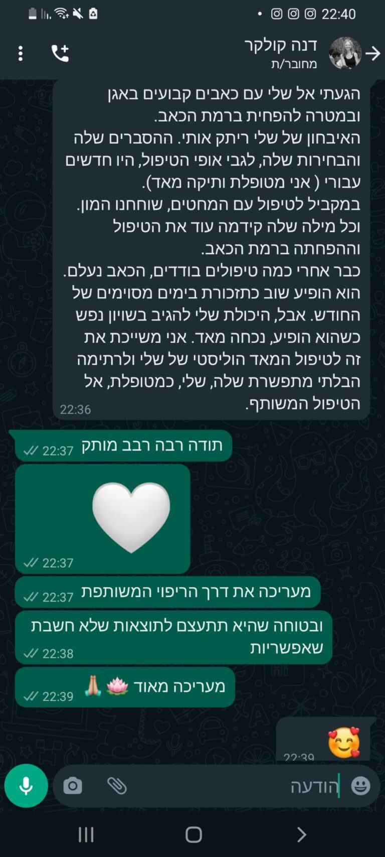 ביקורת שלי דנה קולקר