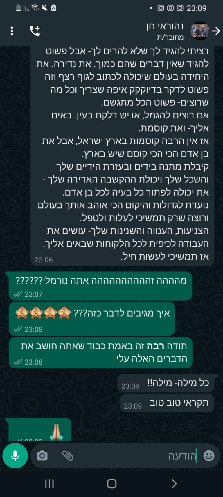 ביקורת שלי נהוראי חן