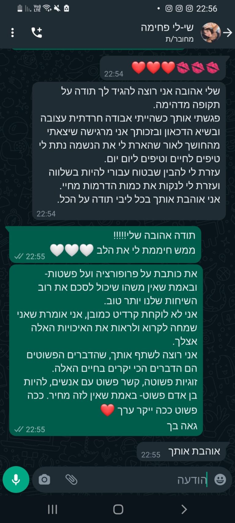ביקורת שלי שילי פחימה